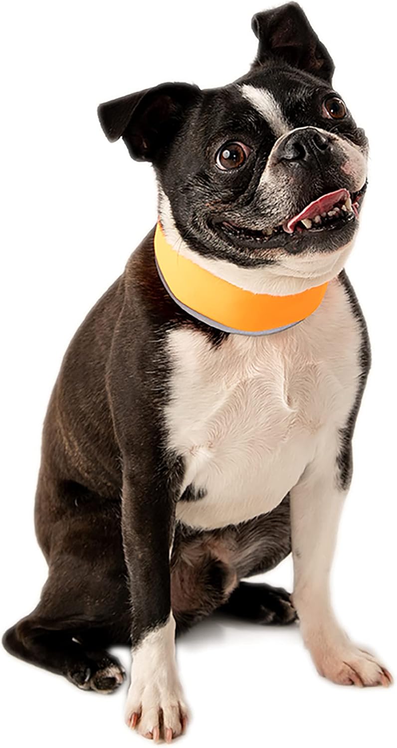CoolerDog Hi-Vis Dog Cooling Collar – Orange Reflective Re-Freezable Ice Collar (Small)