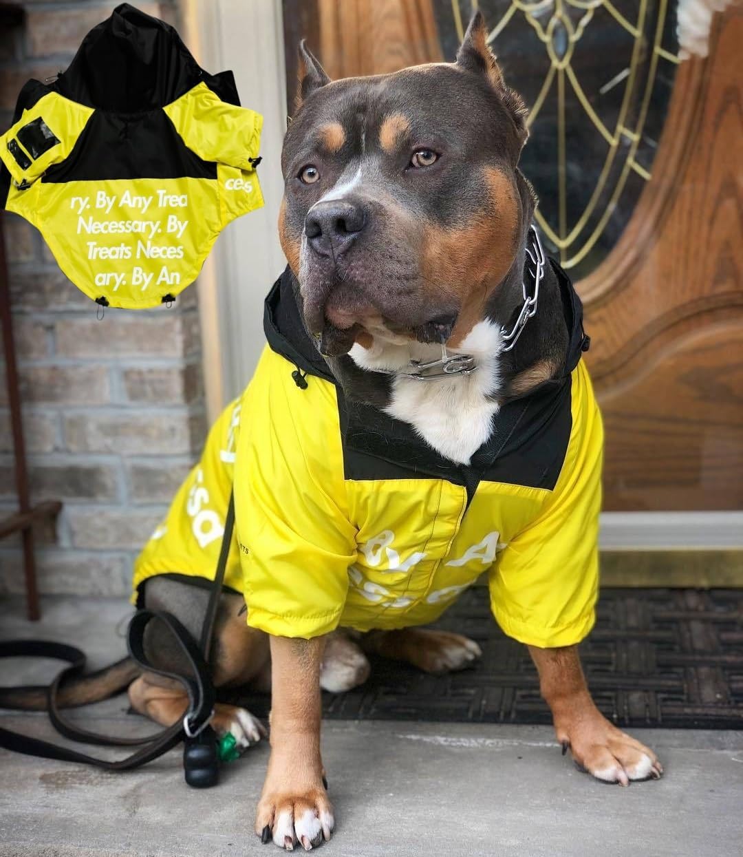 Dog Raincoat Rain Jacket,Slicker Poncho Adjustable Waterproof Dog Raincoat with Leash Hole/Reflective Words Hooded Snowproof Windproof Clothes for Small to 2X-Large Dogs (Yellow, X-Large)