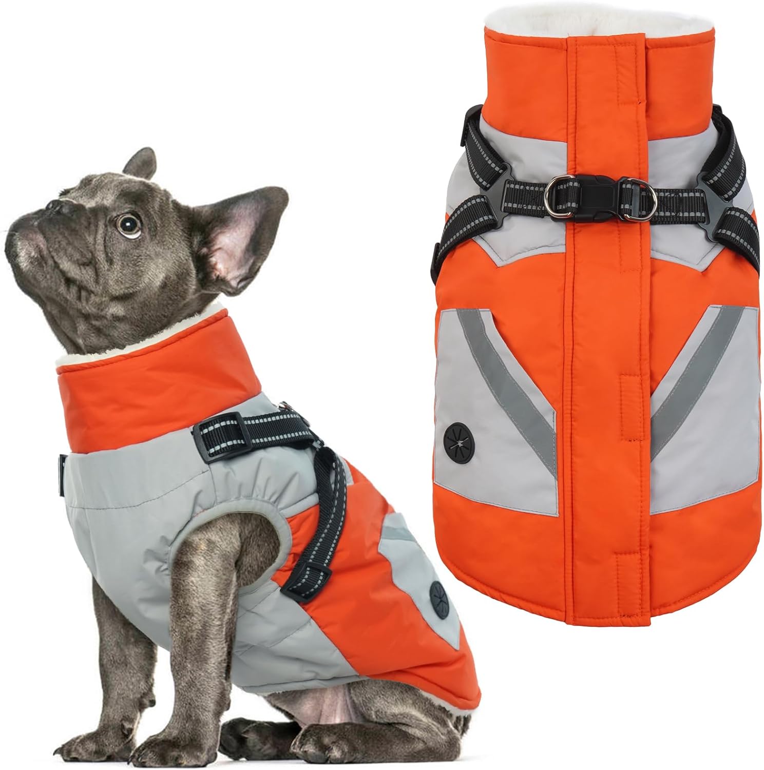 IECOii Dog Coat with Harness Built in – Orange, Large – Waterproof Winter Coat, Fleece Lined Snow Jacket for Dogs