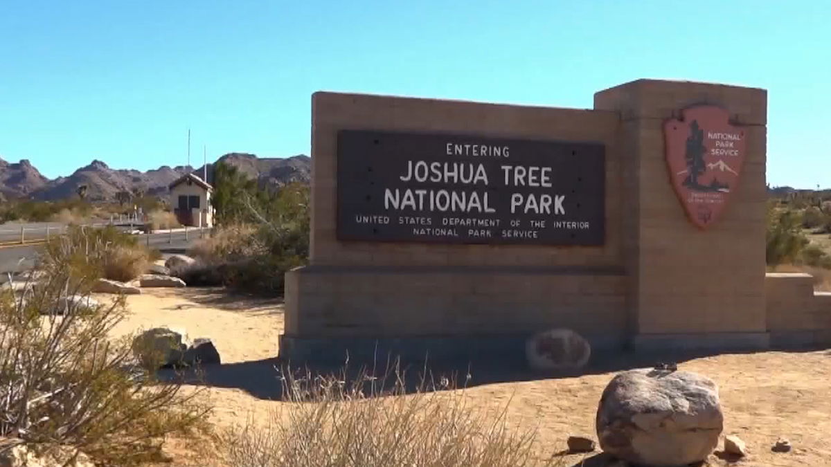 Joshua Tree National Park sees surge of visitors over Thanksgiving weekend