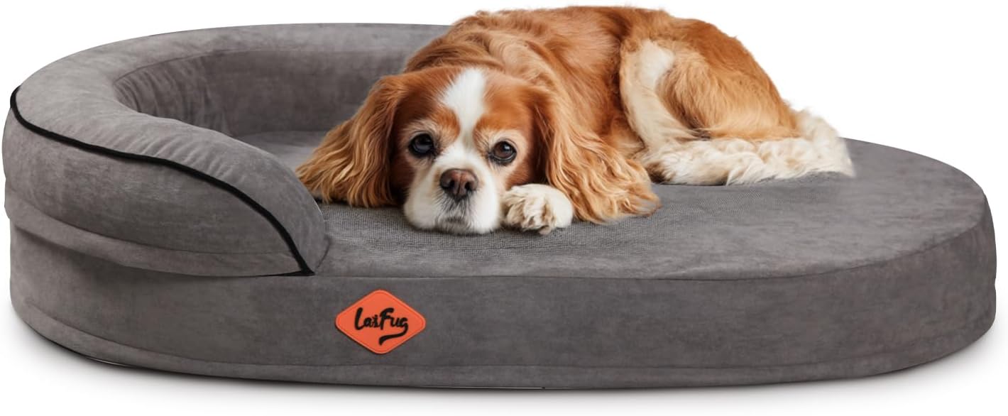 Laifug Memory Foam Oval Dog Bed (36x25x8Inches, Dark Gray), Orthopedic Dog Bed for Dogs with Durable Waterproof Liner & Removable Washable Cover & Nonskid Bottom