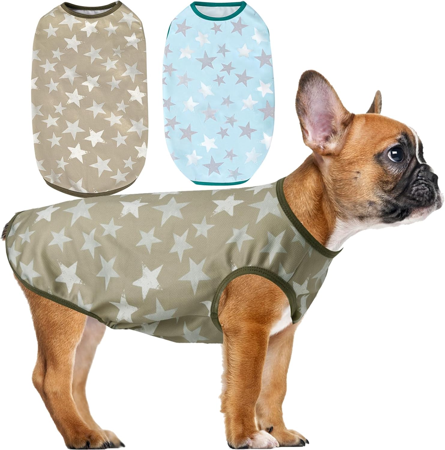 Lightweight Breathable Dog Cooling Shirts, Quick Dry Sunscreen T Shirt, Professional Pet Summer Vest for Small Medium Large Girl Boy Dog