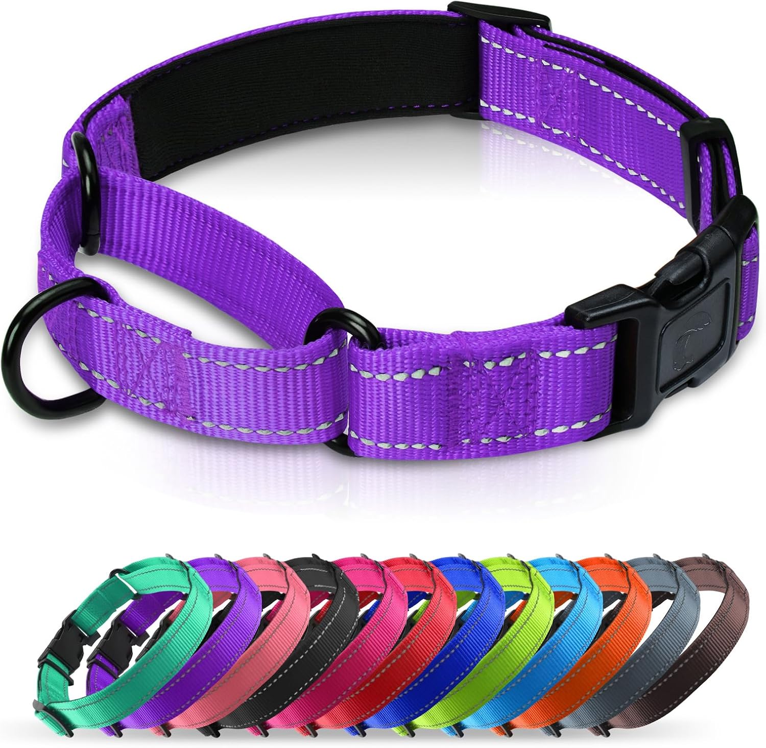 Neoprene Padded Martingale Collar for Dogs, Reflective Soft Nylon with Quick Release Buckle, Adjustable Dog Martingale Collars for Training & Daily Use (Purple,M)