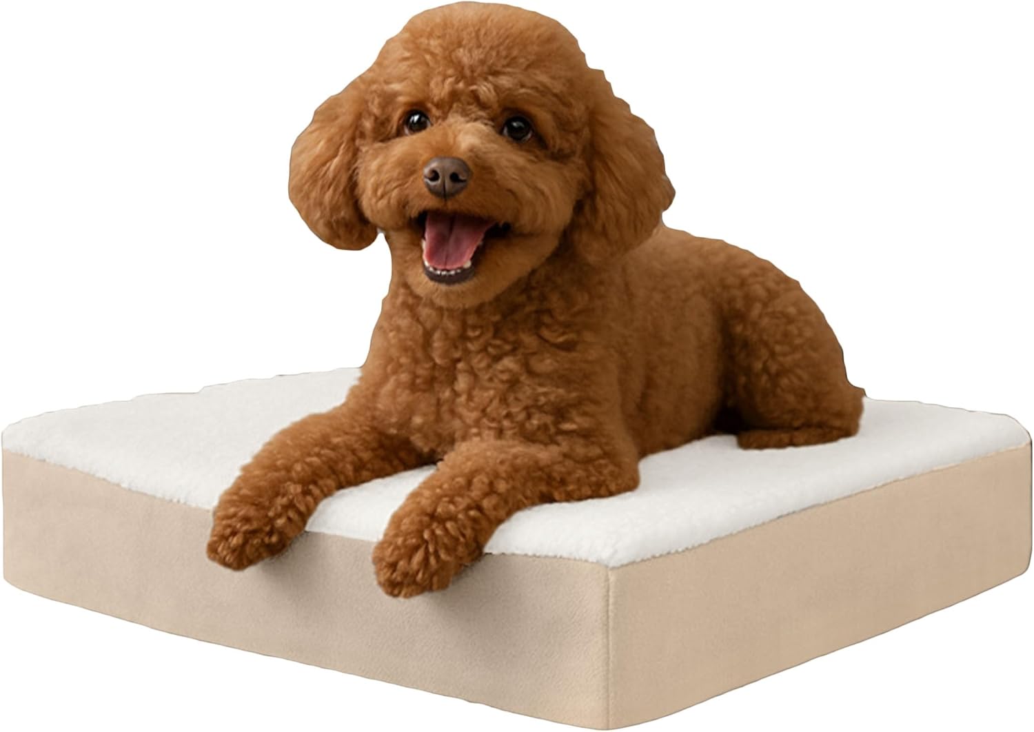 PETMAKER Orthopedic Dog Bed – 2-Layer Memory Foam Pet Bed with Machine Washable Sherpa Cover – 20×15 Pet Bed for Small Dogs up to 20lbs (Tan)