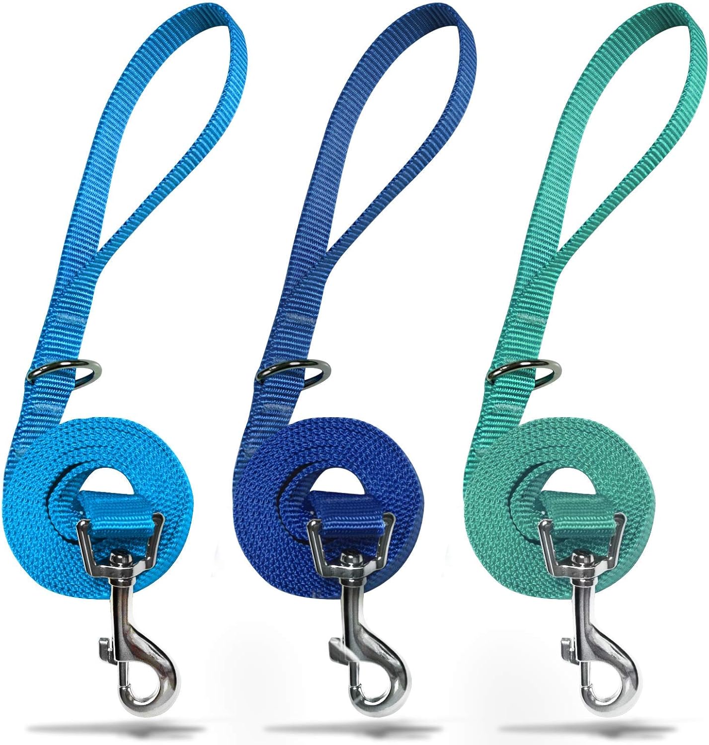 azuza 3 Pack Nylon Dog Leashes,Strong & Durable Basic Style Leash with Easy to Use Collar Hook,Available in Multiple Lengths for Puppy Small Dogs, Royal Blue/Blue/Green
