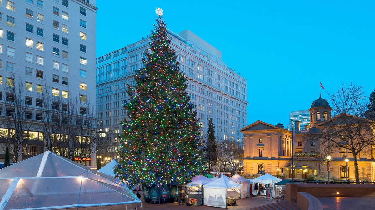 Portland's Christmas tree on display