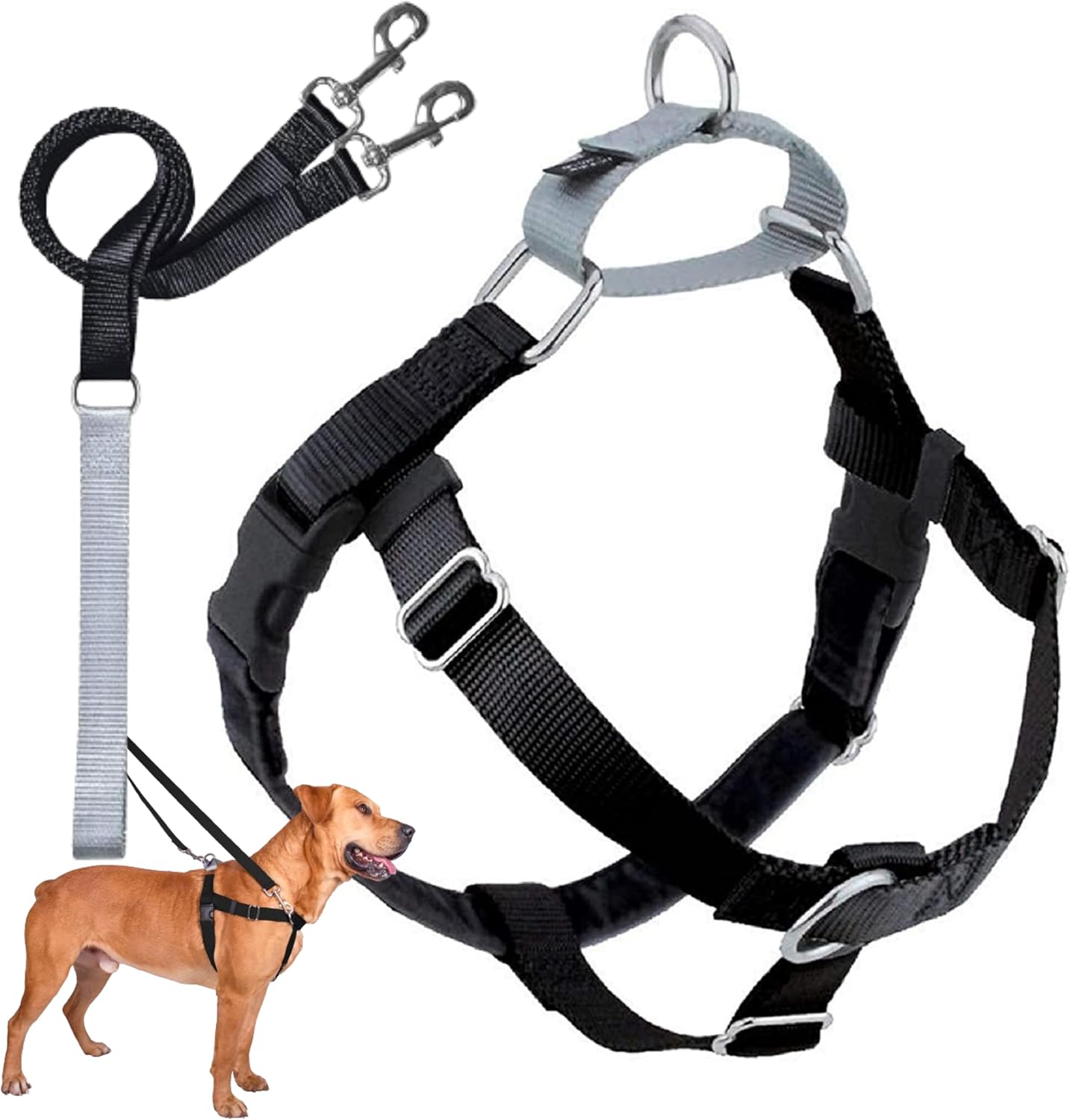 2 Hounds Design Freedom No Pull Dog Harness, Adjustable Harness and Leash Set, Easy Walking & Comfortable Control, Fits Small, Medium & Large Dogs, Solid Colors, Made in USA, 1″ MD, Black