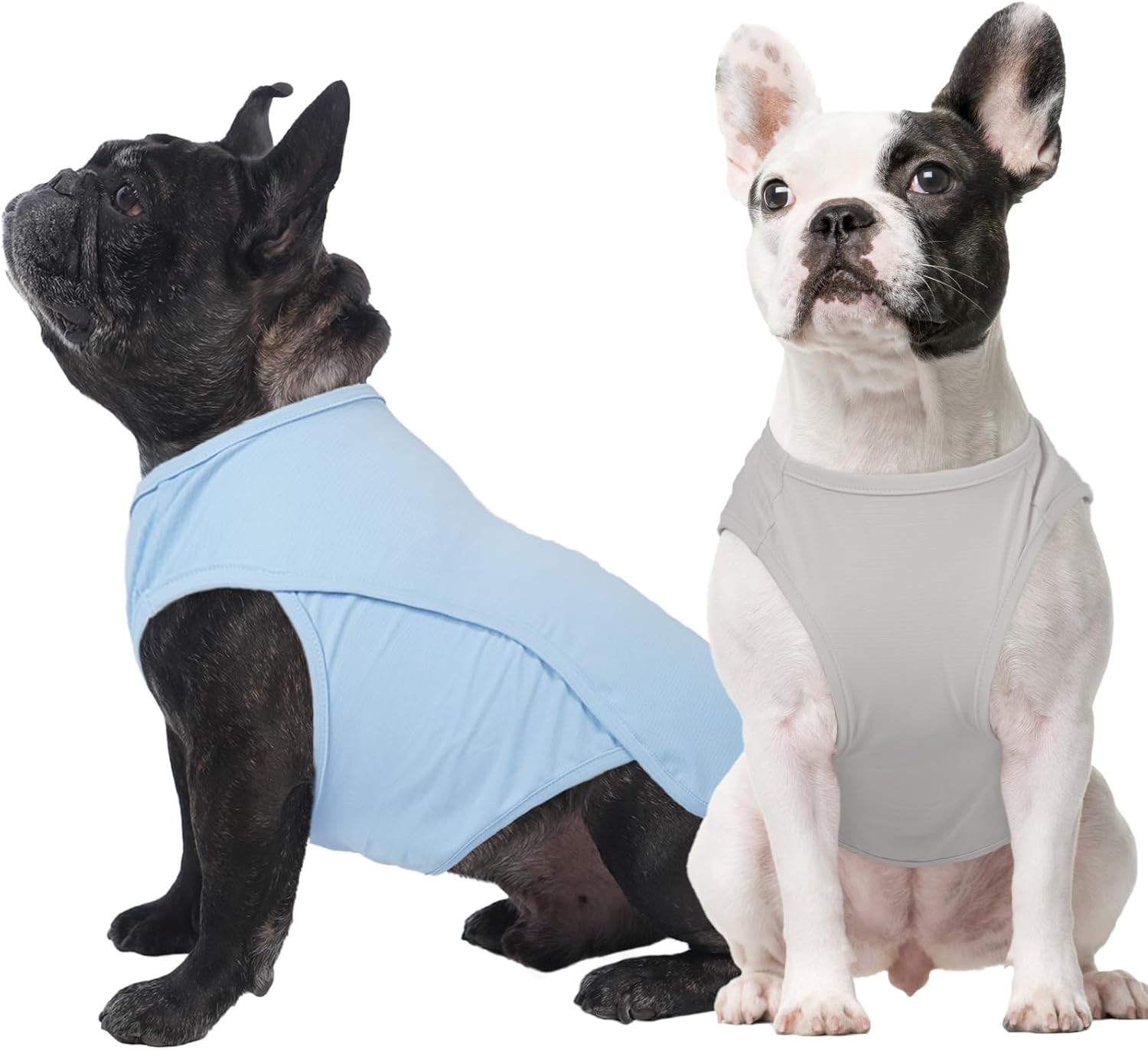 2 Pack Dog T-Shirt Quick Dry, Summer Breathable Cooling Vest, Sun Protection UPF50+ for Sensitive Skin, Stretchy Freedom of Movement for Walk, Blue+Grey, L