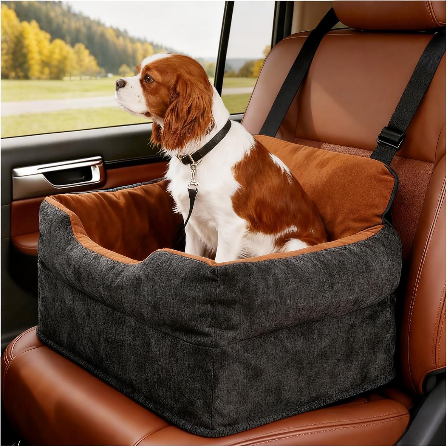 Avont Dog Car Booster Seat for Small/Medium Dogs Under 30 lbs, Elevated Puppy Carseat, Front Seat Pet Car Bed -Black
