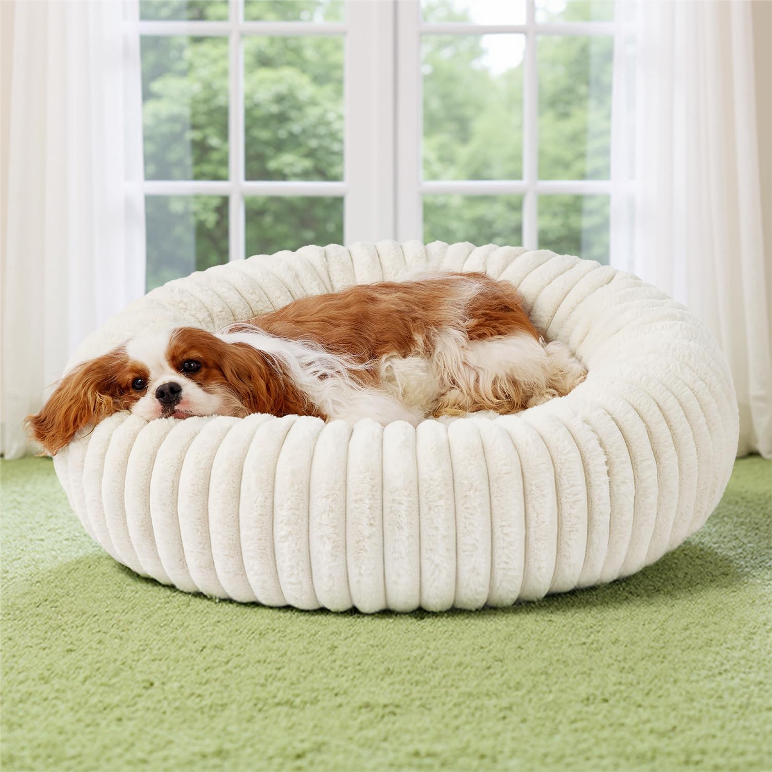 Bedsure ComfyFleece Donut Medium Dog Bed – Washable Faux Fur with Corduroy Fleece & Anti Slip Bottom, Round Pet Bed with Removable Cover, Cream, 30x30x8 inches
