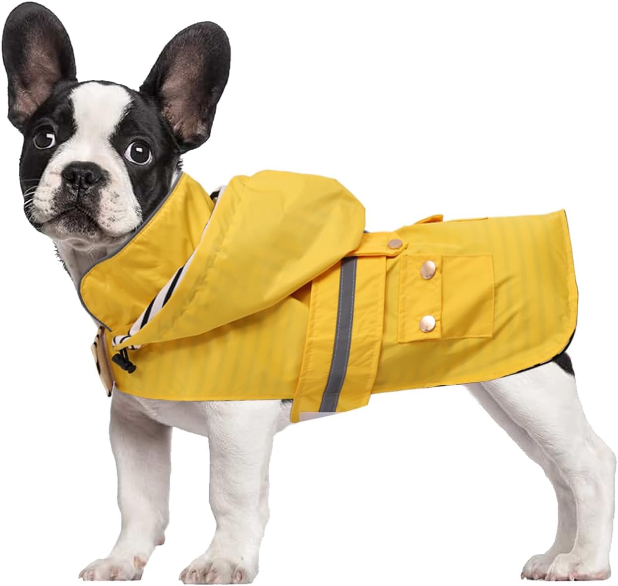 Dog Raincoat Puppy rain Jacket with Removable Hood for Small Medium Breeds Reflective Strap Storage Pockets in Cold Day Yellow L