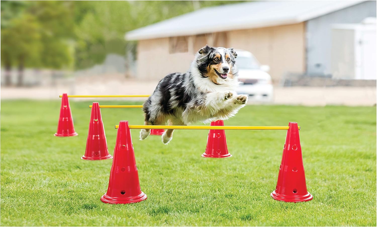 FRISKY FRIENDS Dog Agility Course Equipment- Hurdle Cone Set – Obstacle Agility Training Kit for Doggie, Pet Outdoor Backyard Game