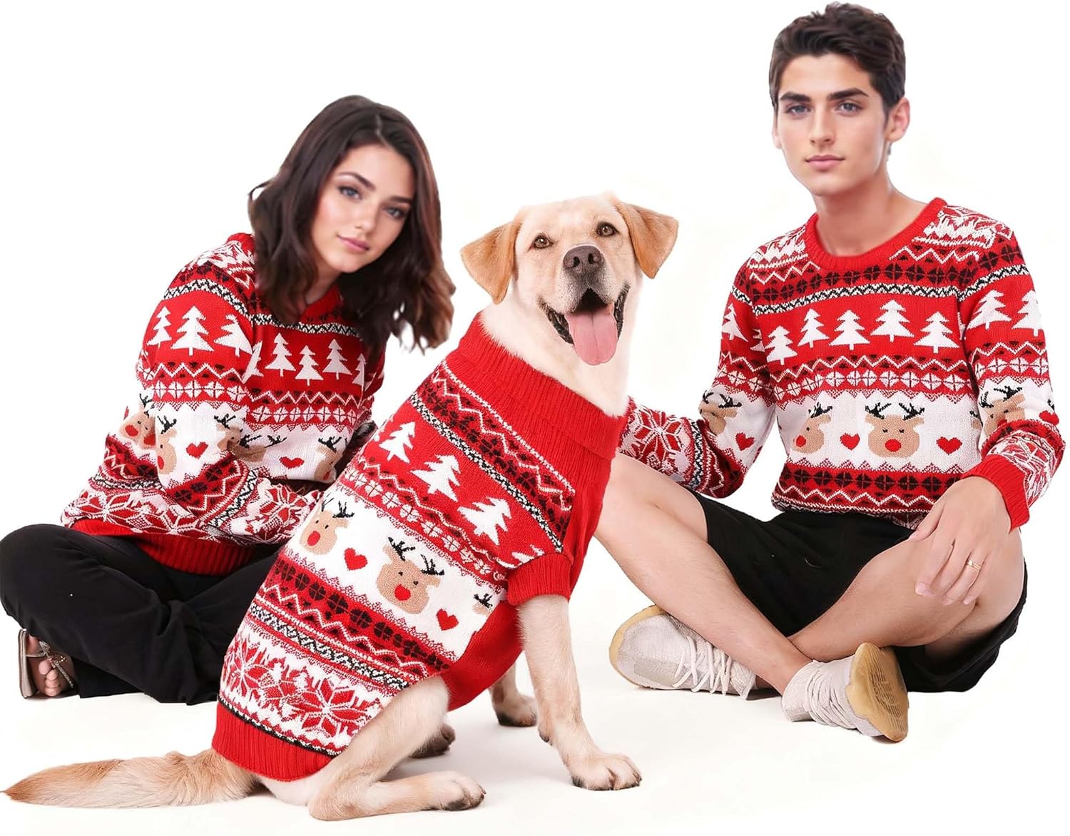 Family Matching Dog and Owner Clothes Outfits,Christmas Pet Cat Sweater Costume for Small Medium Extra Large Dogs/Women/Men (Only for Pet, XL for Pet(Bust 19.6inch|Weight 15-20LBS))
