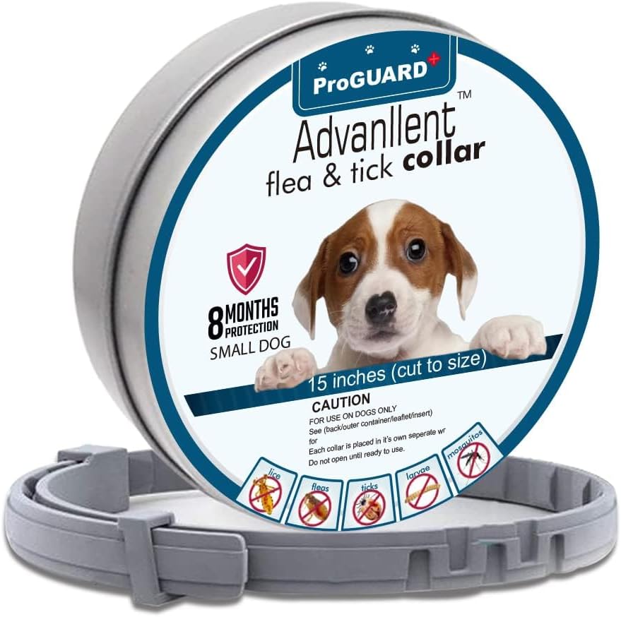 Flea Collar for Dogs, Flea and Tick Collars for Small Dogs, 15.5inch, 8 Month Protection (1 Pack), Gray