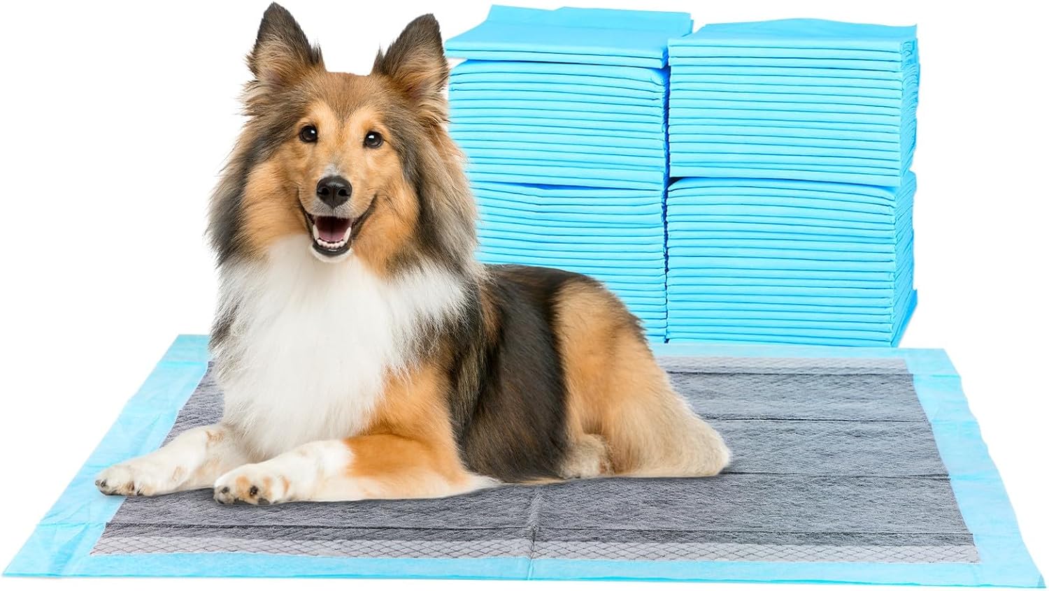FluffyDream Super-Absorbent Waterproof Dog and Puppy Pet Training Pad, Housebreaking Pet Pad, 100-Count Small-Size, 22″x22″, Blue, Scented