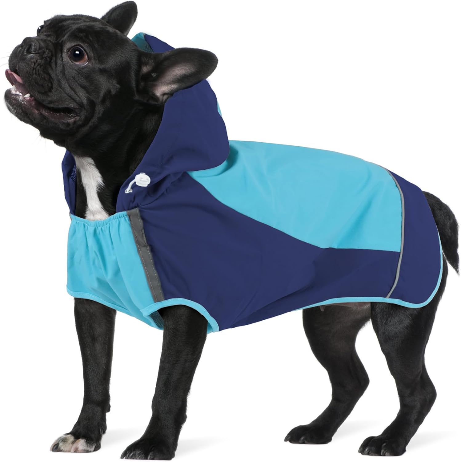 IECOii Dog Raincoat,Waterproof Rain Jacket for Medium Dogs,Adjustable Pet Rain Coat with Magic Sticker Closure,Reflective Doggy Raincoat with Hood,Perfect for Night Walking,Blue,M