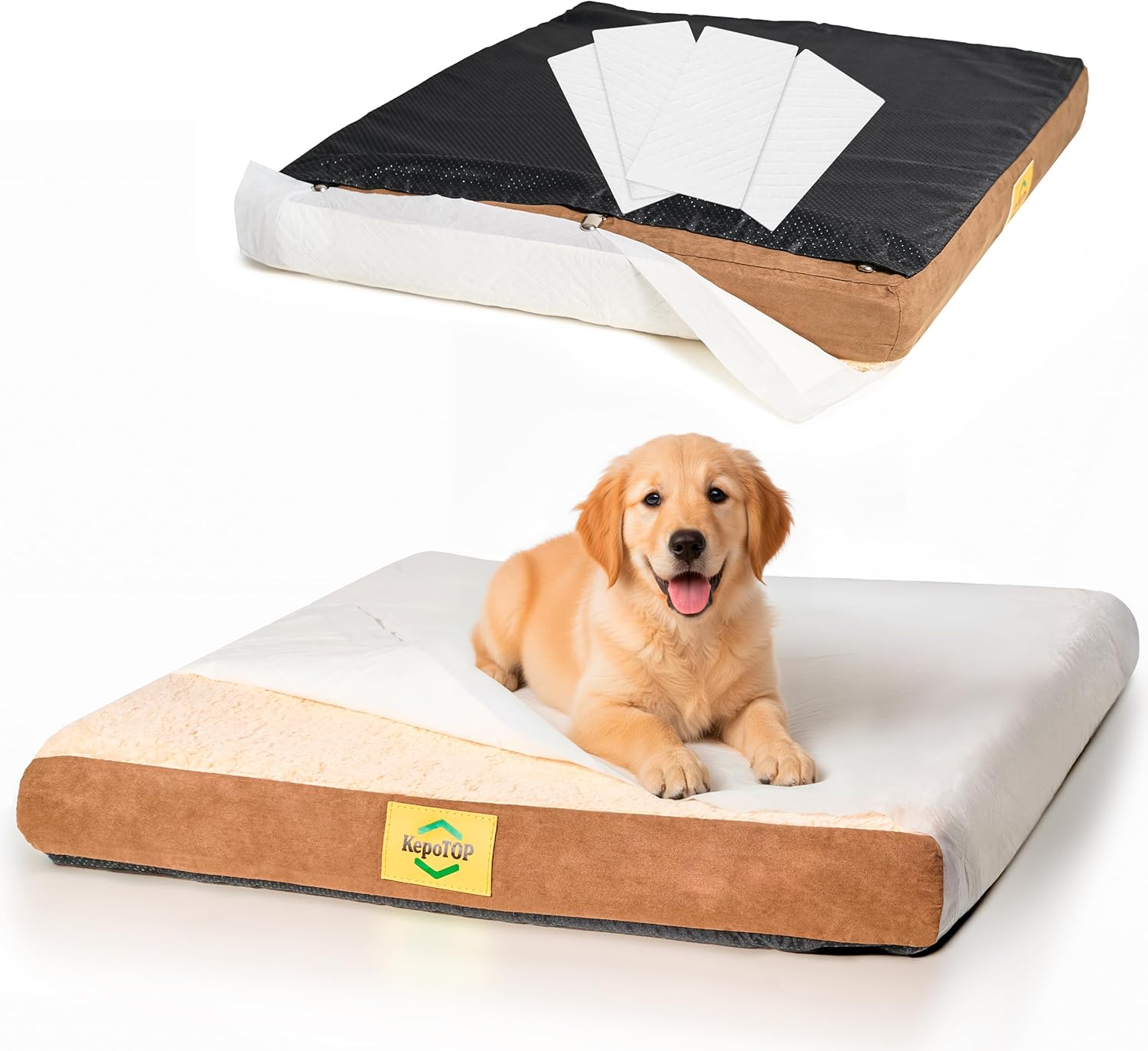 Medium Dog Bed Orthopedic | Cama para Perros | Crate Dog Bed Washable | pet beds for Medium Dogs | Puppy beds | Camas para Perros | Pet BeDs for Small Dogs