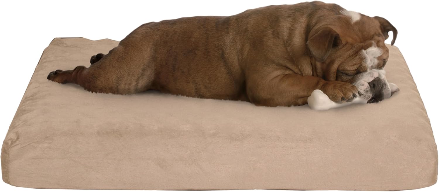 Memory Foam– 2-Layer Orthopedic Dog Bed with Machine Washable Cover – 26 x 19 for Medium Dogs up to 40lbs by PETMAKER (Tan)