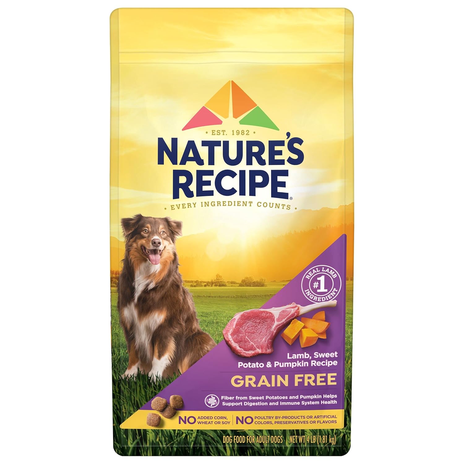 Nature’s Recipe Grain Free Dry Dog Food, Lamb, Sweet Potato & Pumpkin Recipe, 4 lb. Bag