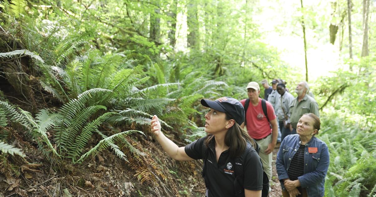 Oregon State earns third Carnegie Community Engagement Classification | OSU Today
