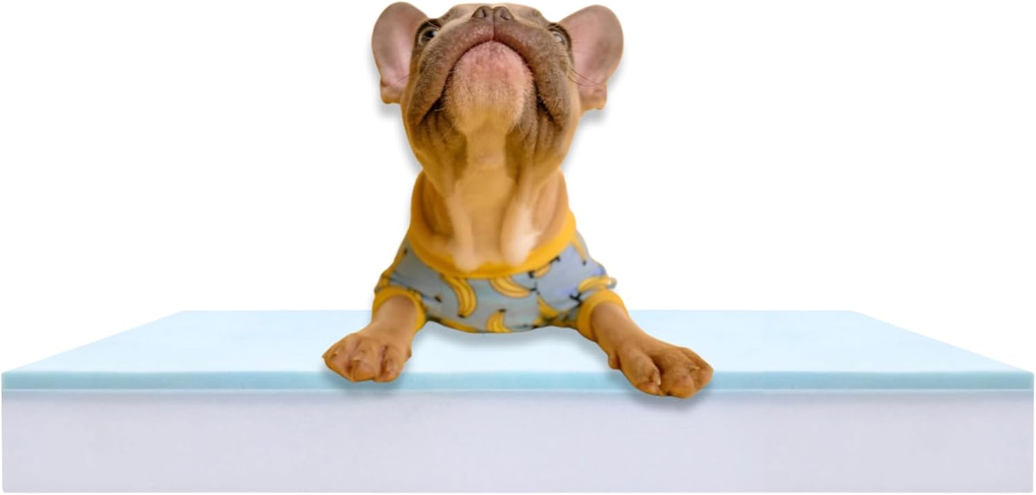 Pet Bed Foam Insert/Dog Bed Pad (3″x22″x33″) Gel Memory Foam Insert, Made in USA. Cut to Size Option Available. Custom Memory Foam Insert for Dog Beds. DIY Replacement Cushion.