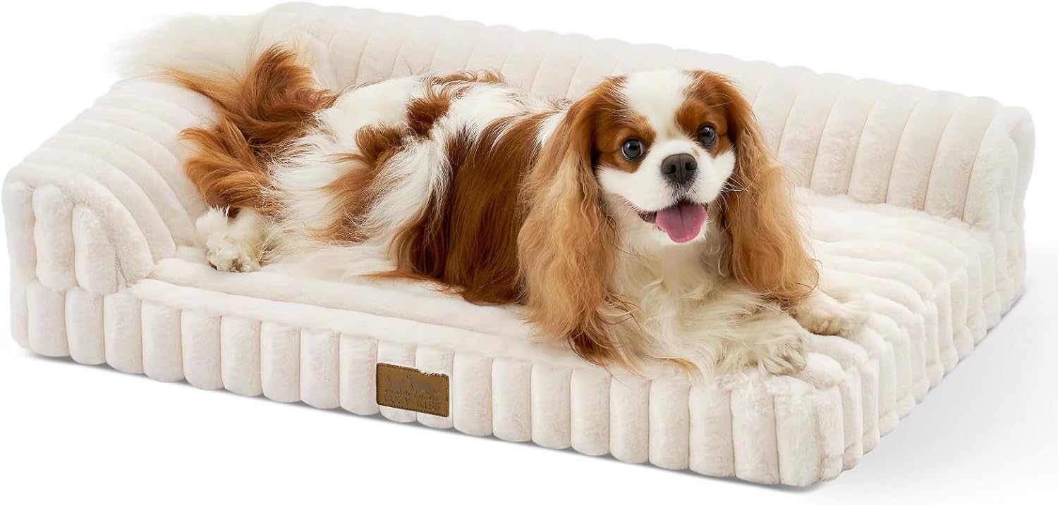 Cute Dog Bed, Faux Rabbit Fur Orthopedic Foam Dog Bed with Sides, Removable Washable Cover & Waterproof Lining, Comfortable Pet Couch for Small Dogs, Cream (30″ L x 20″ W x 6″ Th)
