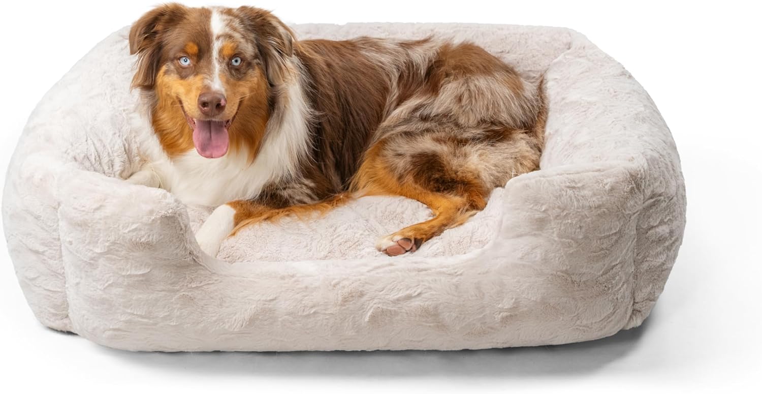 Best Friends by Sheri Soothe & Snooze Lounge Lux Memory Foam Rectangular Dog Bed, Washable, Oyster, Large 36″ x 27″