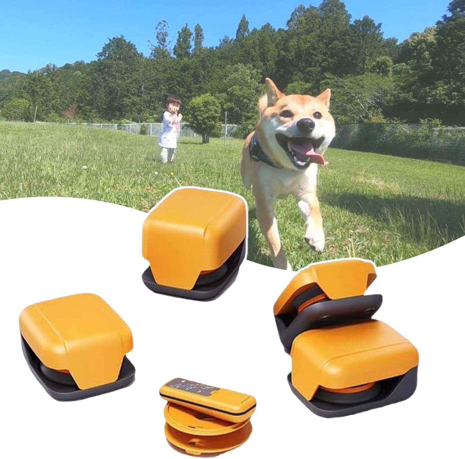 Dog Agility Training Kit, Remote Control Switches The Direction of Movement in One Second,Adjustable Speed,for Dog Racing Events