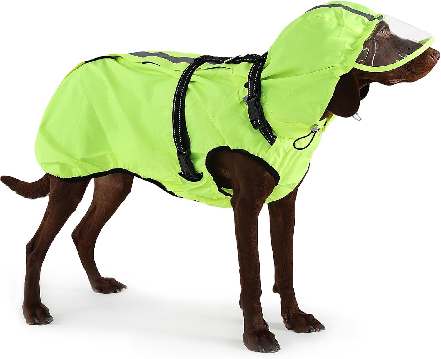 Dog Raincoat XL, Waterproof Rain Jacket for Dogs with Adjustable Built-in Harness & Back Zipper, Reflective Strip, Removable Hood, for Rainy Walks, Muddy Roads – Fluorescent Green