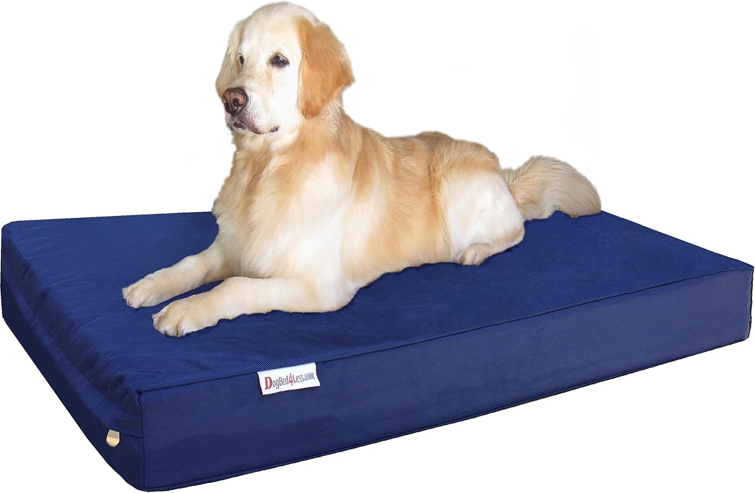 Dogbed4less Jumbo Extra Large Gel Infused Memory Foam Dog Bed with 1680 Nylon Heavy Duty Cover and Waterproof Liner, 55X37X8 Inches, Blue