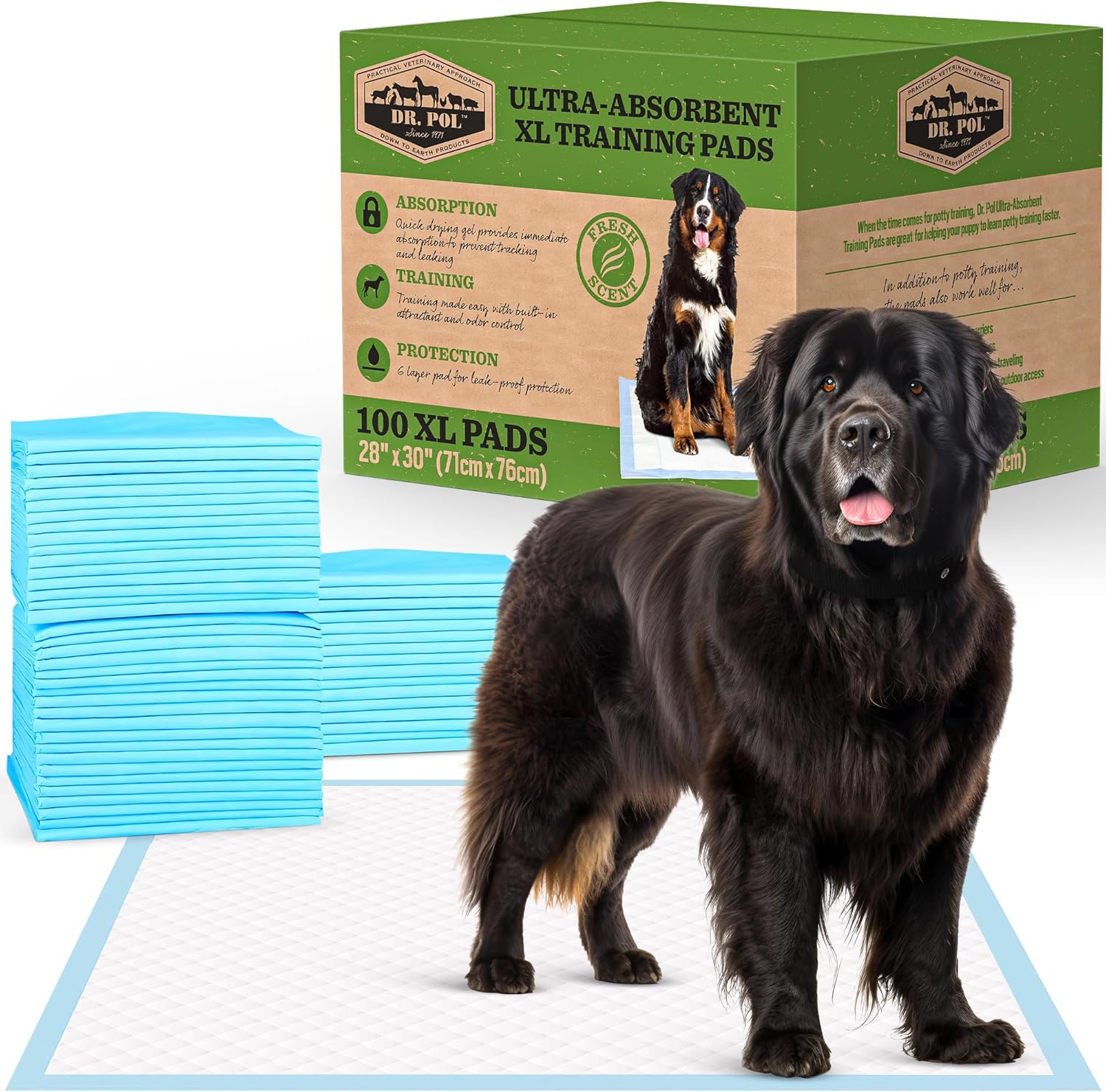 Dr. Pol Puppy Training Pads – X-Large Scented Pee Pads for Dogs with Ultra Absorbent Quick Dry Gel, 28 x 30, 100 Count