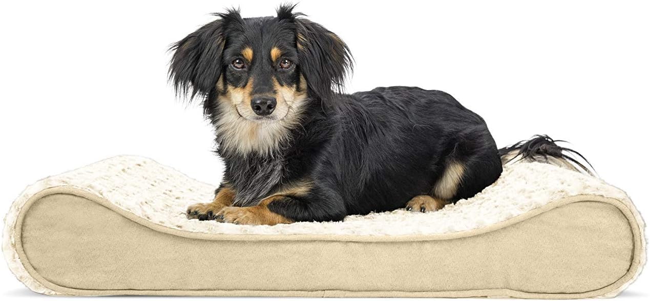 Furhaven Orthopedic Dog Bed for Medium/Small Dogs w/ Removable Washable Cover, For Dogs Up to 23 lbs – Ultra Plush Faux Fur & Suede Luxe Lounger Contour Mattress – Cream, Medium