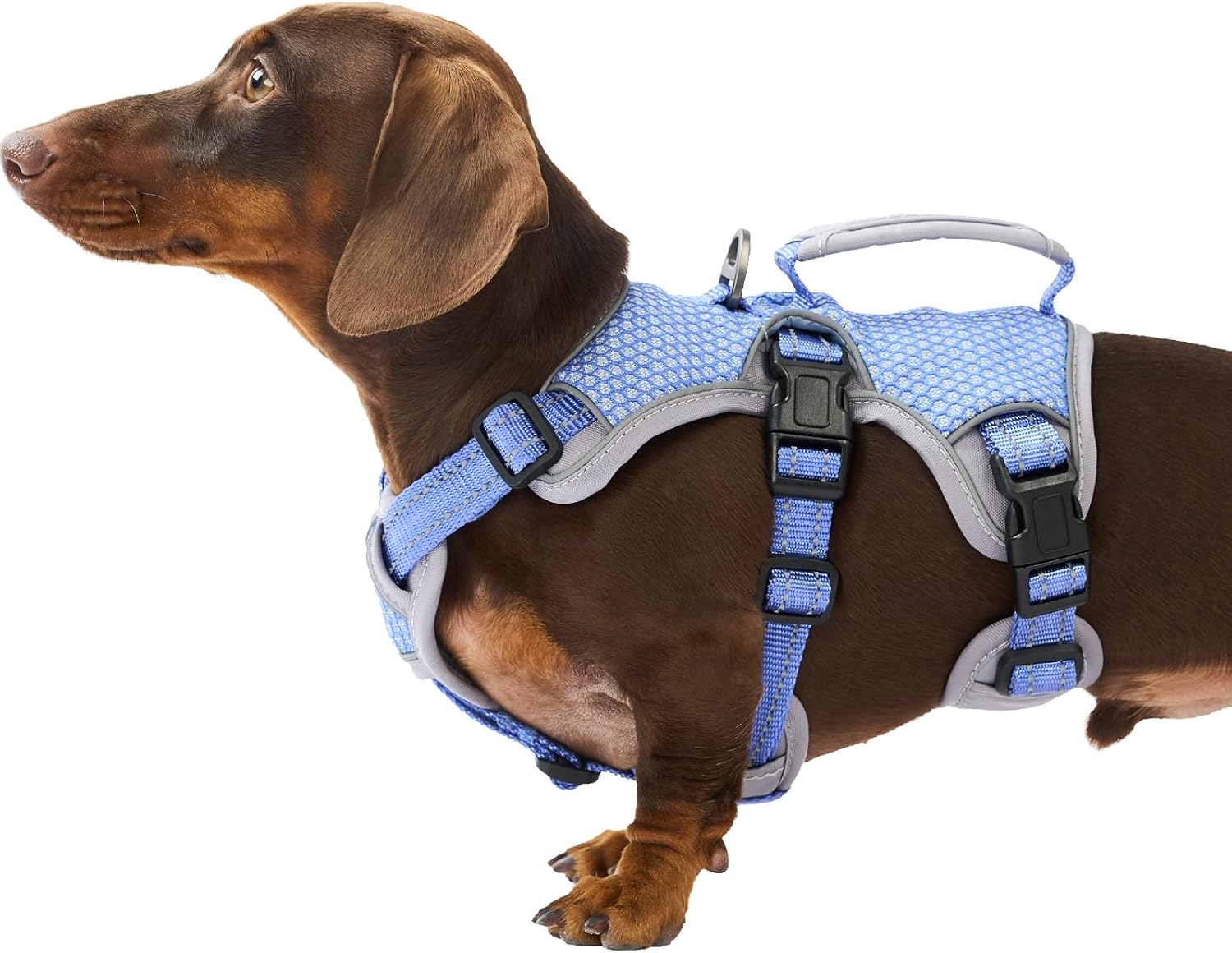 Huntboo Escape Proof Dog Harness, Escape Artist Harness, Reflective Dog Harness with Handle, Durable,Adjustable Vest for Small Medium Large Dogs Walking, Training, and Running Gear(Technicolor Blue,S)