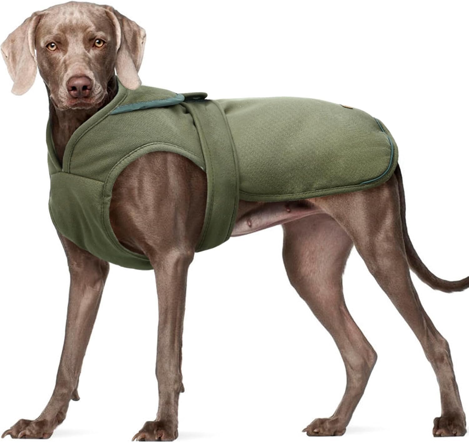 Kuoser Army Green Dog Winter Coat, X-Large, Water-Resistant, Fleece, Hooded Neck, Elastic, Hook, Zipper, Cotton, Comfortable, Leash Hole, Reflective, for Medium Breeds