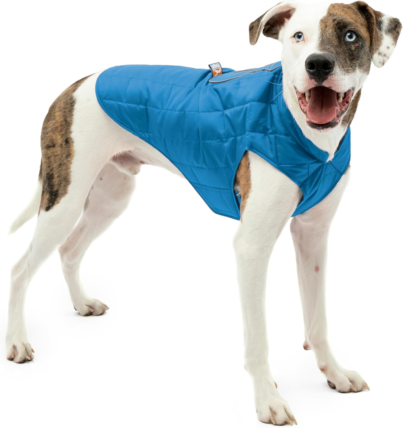 Kurgo Loft Dog Jacket – Reversible Cozy Coat for Outdoor Adventures – Water Resistant – Athletic Fit – Machine Washable Fabric – Reflective Dog Gear – Medium – Coastal Blue