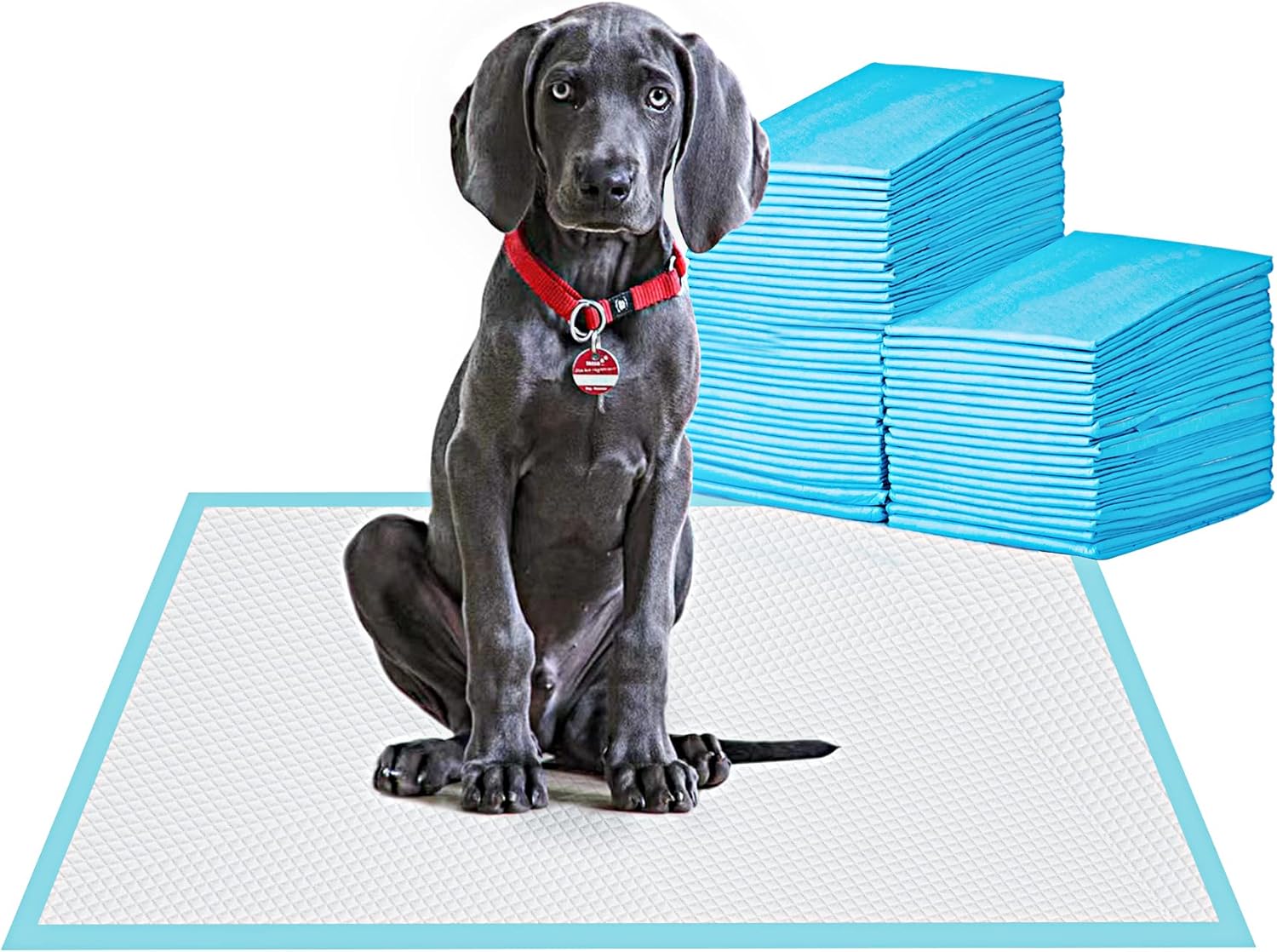 Large Pet Training and Puppy Pads Pee Pad for Dogs 24″x24″-80 Count Super Absorbent & Leak-Proof