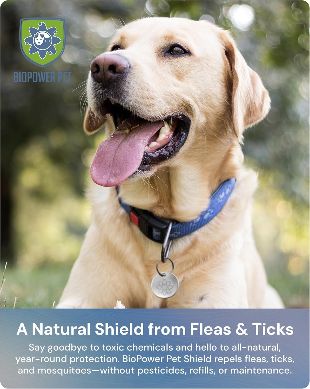 Natural Flea & Tick Repellent Collar Tag for Dogs & Cats – BioPower Pet Shield – Safe for Pets When Used as Directed – Lasts 1 Full Year – Regular Tag (2 Pack)