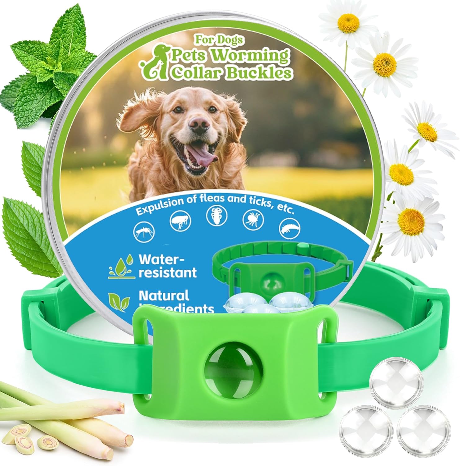 Natural Flea and Tick Collar + Pendant for Dogs – Waterproof, Adjustable Fit, 8+ Months Protection, 3 Refills Included
