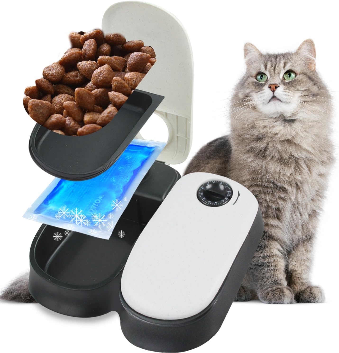 PAWISE Automatic Pet Feeder for Cats and Dogs,Dog Automatic Feeders with Timer, Automatic Cat Feeders with Ice Pack (2 Meal-1)