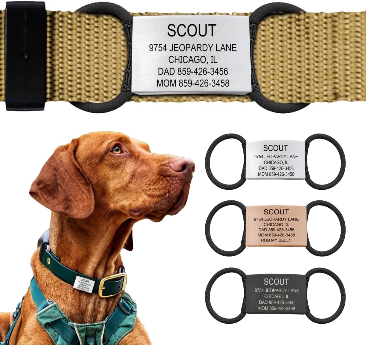 Personalized Dog Tags by ROAD iD | Silent & Durable | Jingle-Free Slide-On Design | Stainless Steel Name Tag Fits Any Collar | Multiple Colors & Sizes for Your Pet’s Unique Style