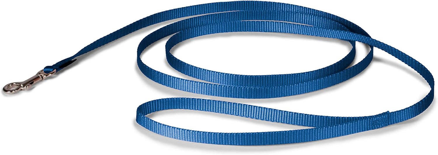 PetSafe Nylon Leash – Strong Dog Leash for Everyday Use – Secure & Simple Design for Reliable Control – Lightweight with Durable Hardware – 3/8 Inch – 6 Feet – Blue