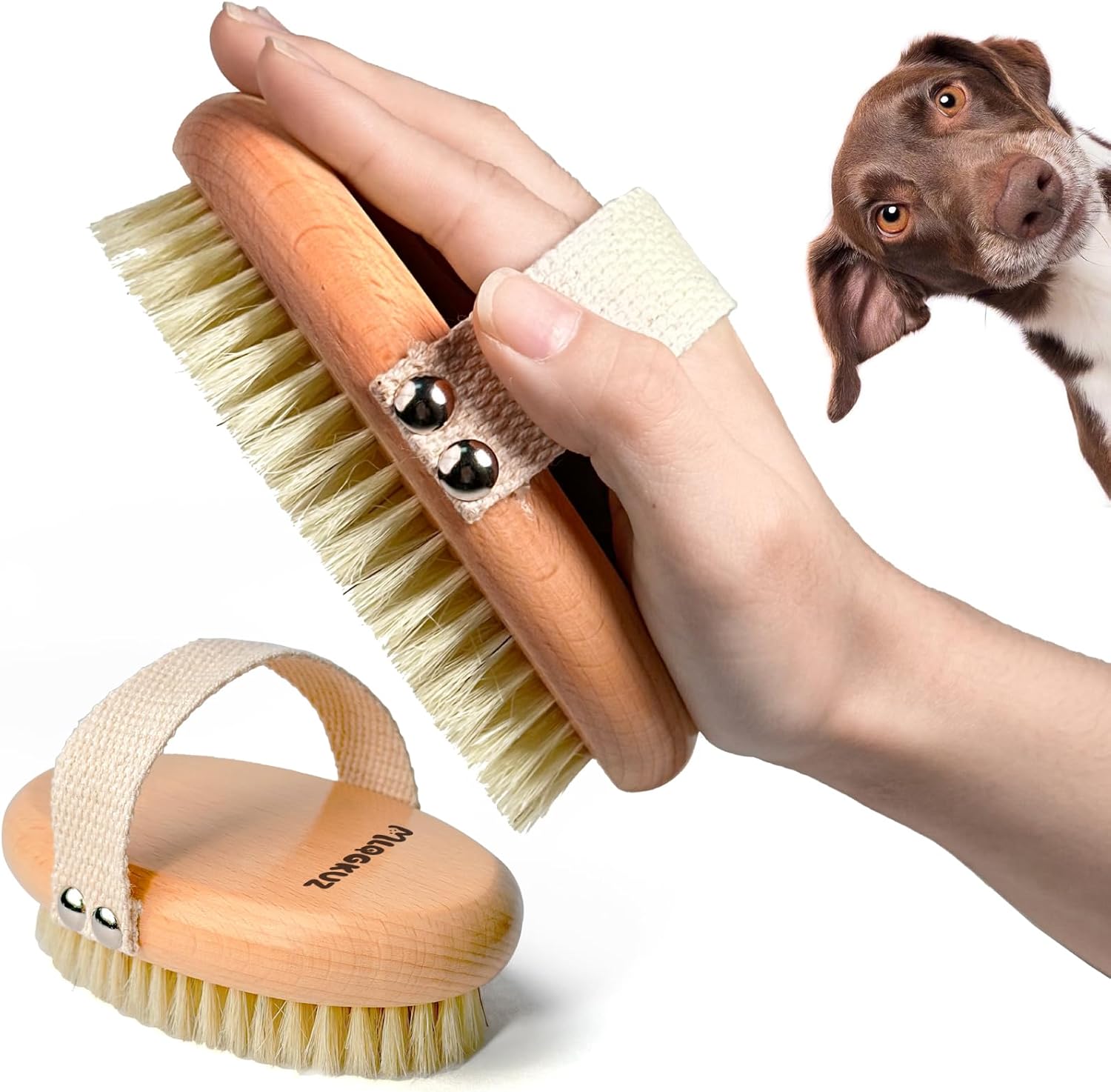 Professional Dog Brush Boar Bristle for Short-Haired Dogs – Reduces Shedding, Non-Slip Grip, Gentle Grooming