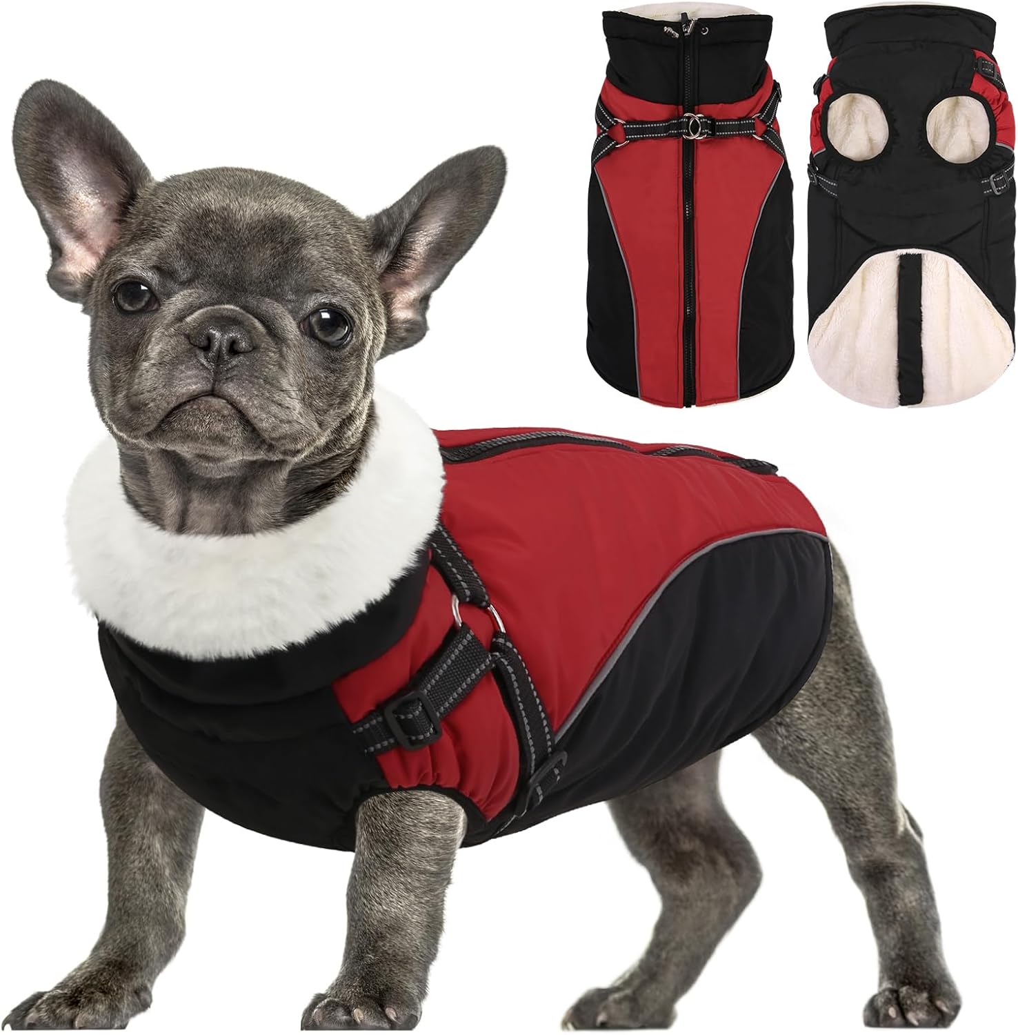 Queenmore Winter Dog Coat, Puffer Jacket with Harness Built-in for Small/Extra Small Dogs, Cold Weather Waterproof Snow Jacket – Fleece Lined, Reflective, Easy On, Adjustable, Zipper – Red/Black XS