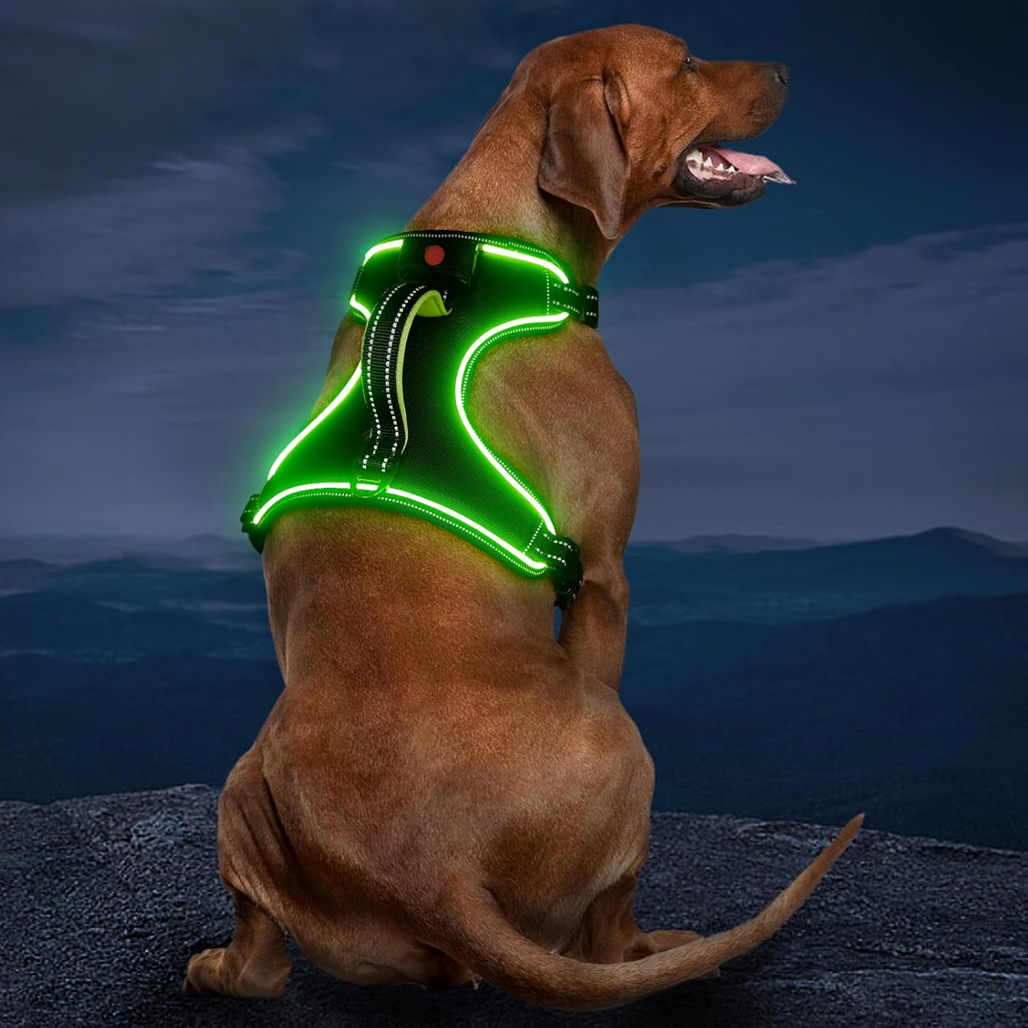 Rechargeable LED Dog Harness – No Pull, 4 Point Adjustable, Small/Medium/Large/X-Large Sizes