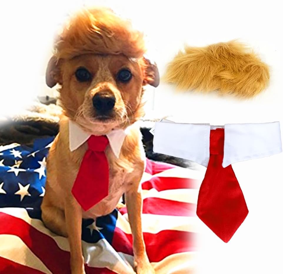 Trump Style Pet Costume Dog Wig, Dog Clothes with Collar & Tie Head Wear Apparel Toy for Halloween, Christmas, Parties, Festivals (Brown with Tie)