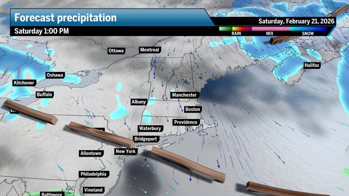 After morning snow showers, the region dries out in the afternoon.