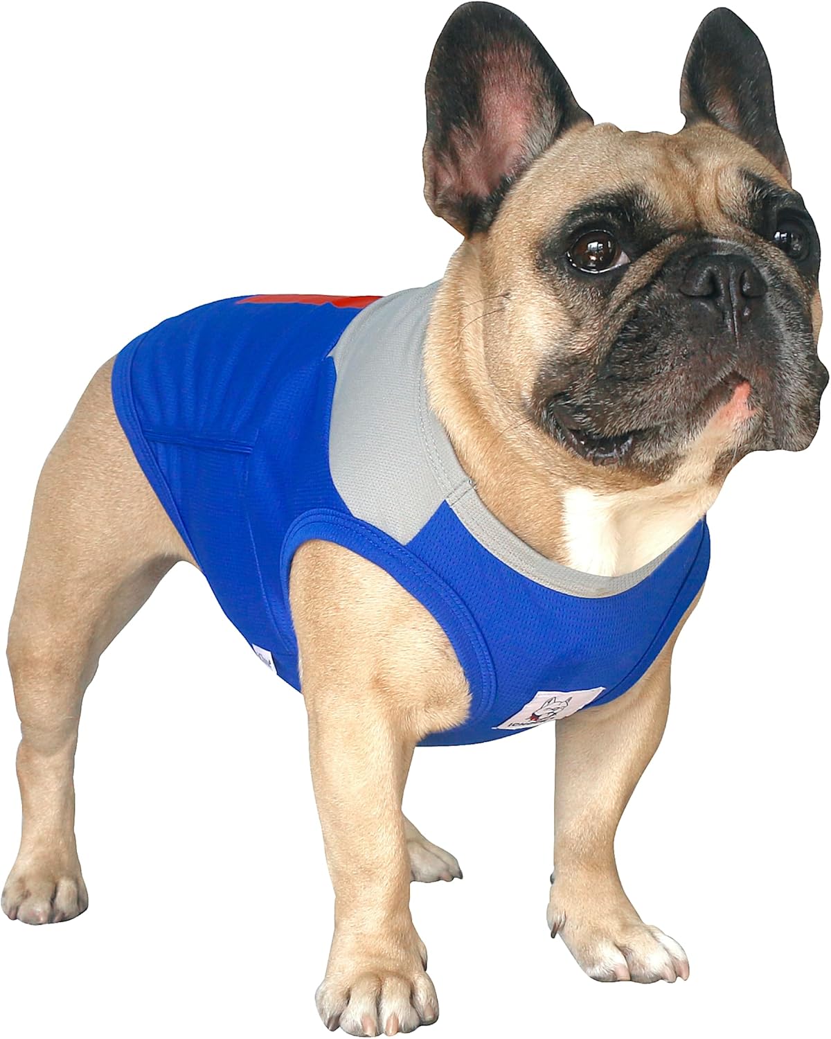 iChoue French Bulldog Summer Cooling Shirt for Dogs UV Sun Protection Vest Sleeveless Stretchy Tank Top English Pug Grey Blue – Medium