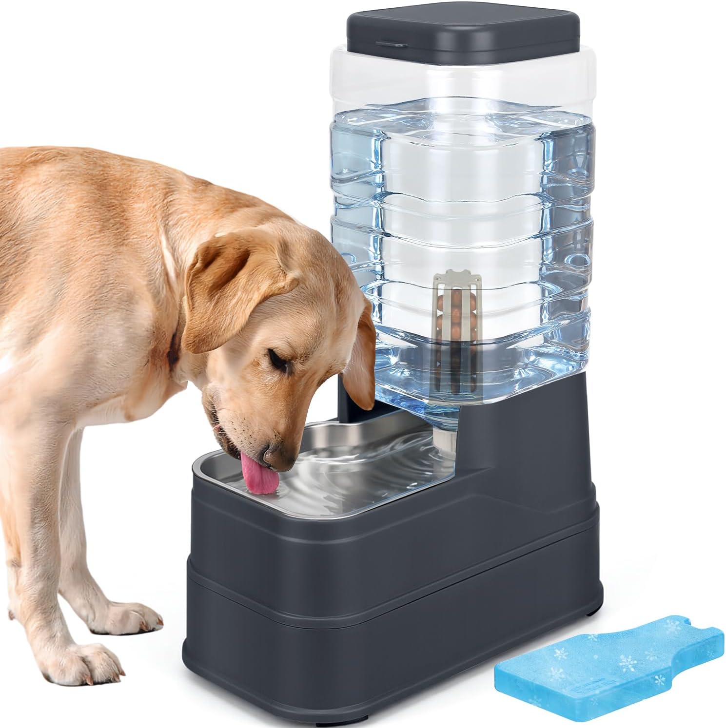 2.2 Gallon Pet Automatic Dog Water Dispenser Cat Gravity Waterer Feeder with Stainless Steel Bowl Large Capacity Puppy Feeding Raised Bowls with Filter,Ice Pack for Large Pets