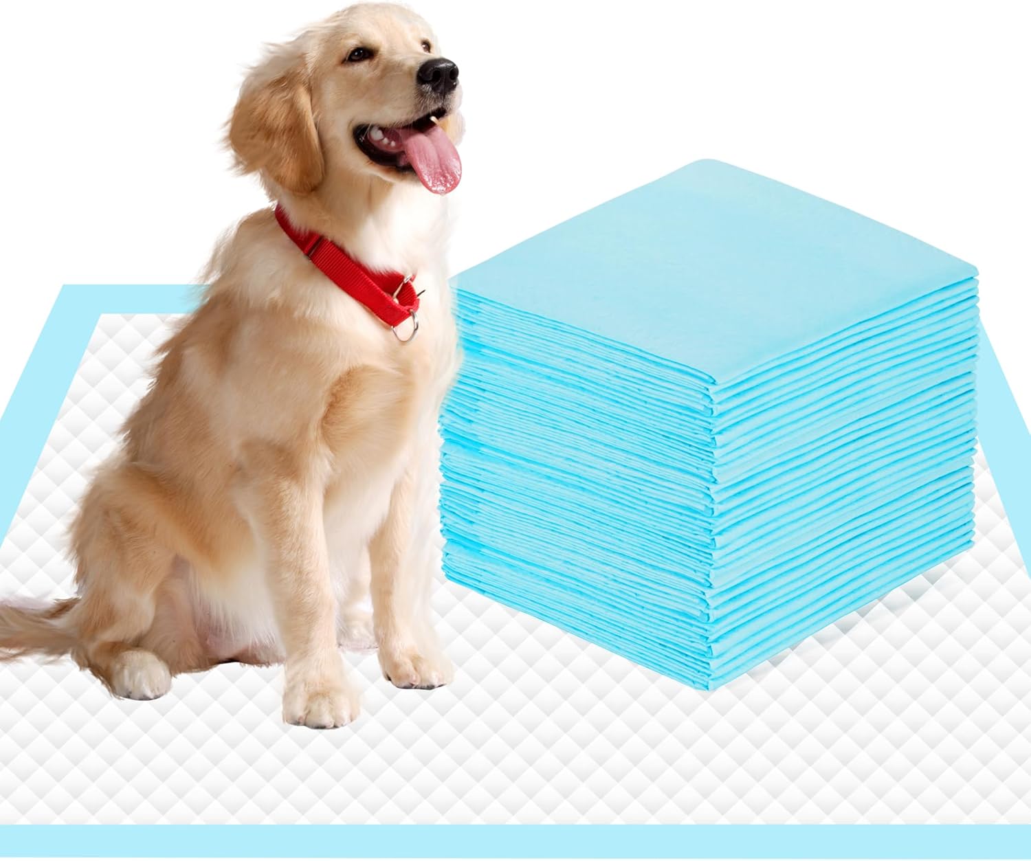 22″ x 23″ Pee Pads for Dogs, 6 Layers Super Absorbent, Leak Proof Quick Drying Pet Pee Pads, Training Puppy Pads – 10 Count