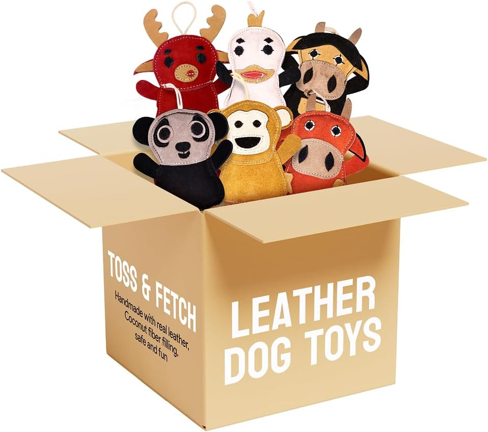 6 Assorted Leather Dog Toys for Small Dogs & Puppies – Natural Leather Chew Toys w/Coconut Fiber Filling & Jute Rope – Eco-Friendly, Non-Toxic, Durable Play Set for Teething & Light Chewers